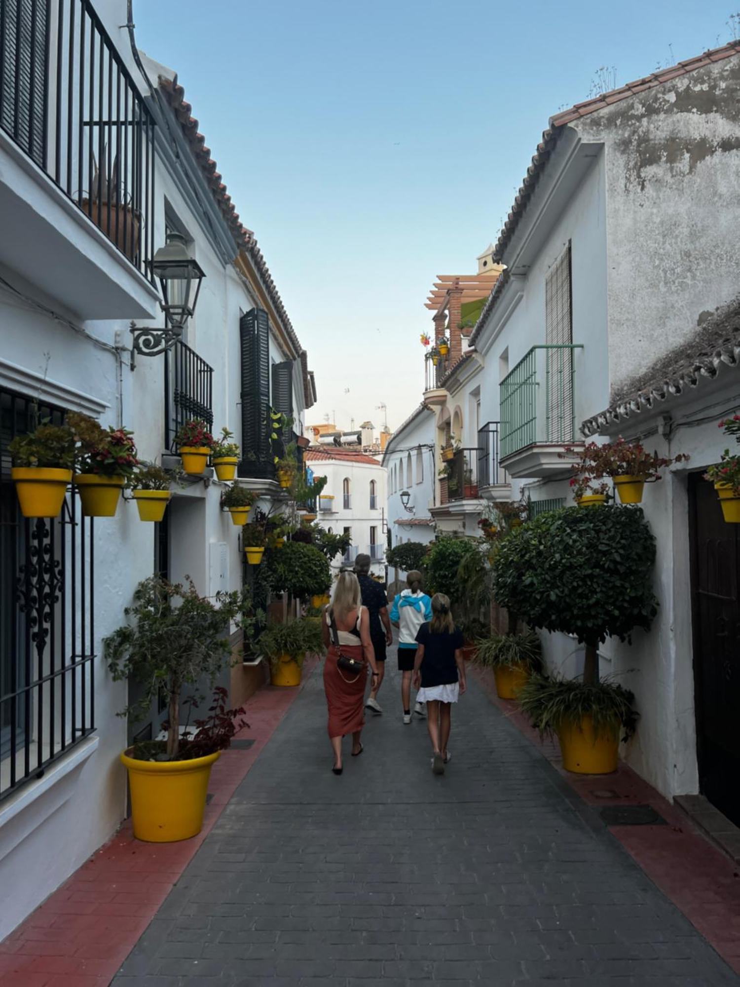 Playa Cristo Amazing Beach Terrace Appartment Estepona Ngoại thất bức ảnh